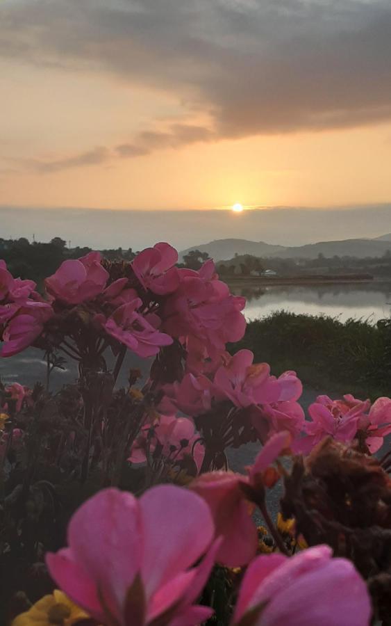Sea Lodge B&B Durrus 외부 사진
