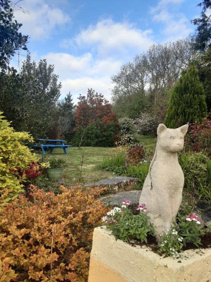 Sea Lodge B&B Durrus 외부 사진